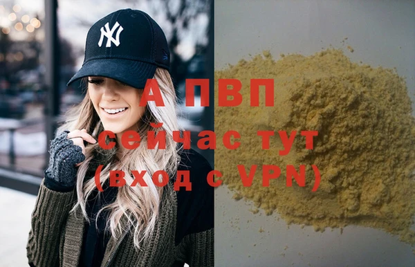 сатива Верхний Тагил