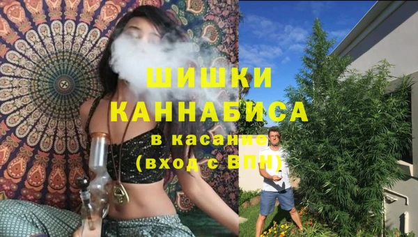 ПСИЛОЦИБИНОВЫЕ ГРИБЫ Бородино